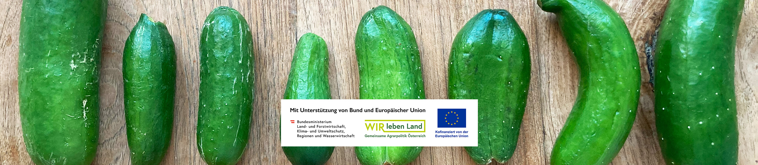 Von alten EU-Verordnungen, Herumgurken und ungeplanten Wachstumsschüben