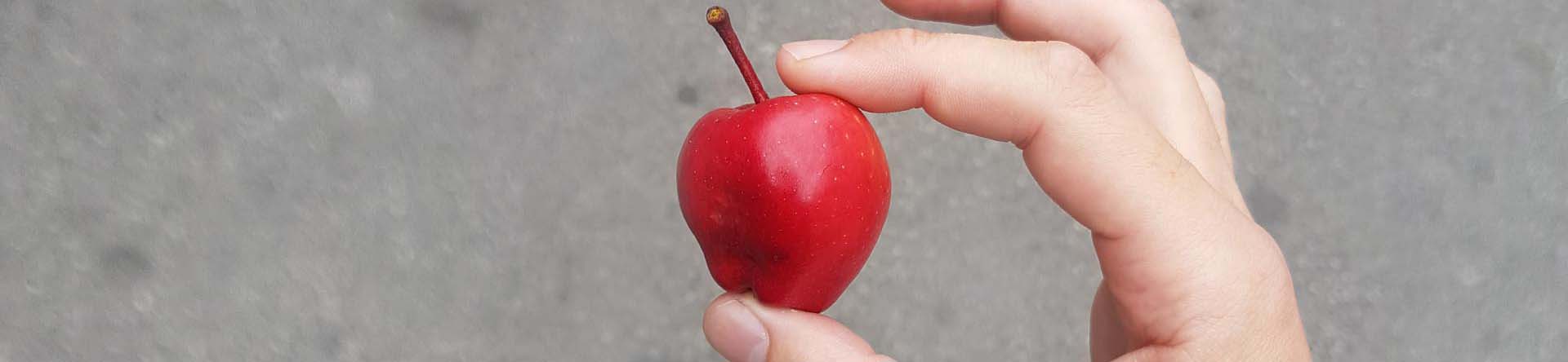 Gründe für Lebensmittelverschwendung: ein zu kleiner Apfel.