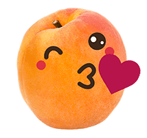 Unverschwendet_Bussi-Marille_200px Comic Frucht Marille mit Bussi Gesicht