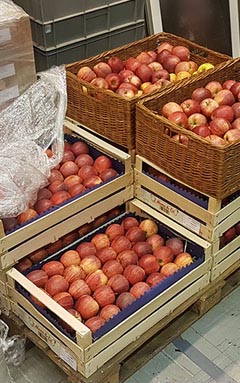 Gründe für Lebensmittelverschwendung: viele bei einem Event übrig gebliebene Äpfel.