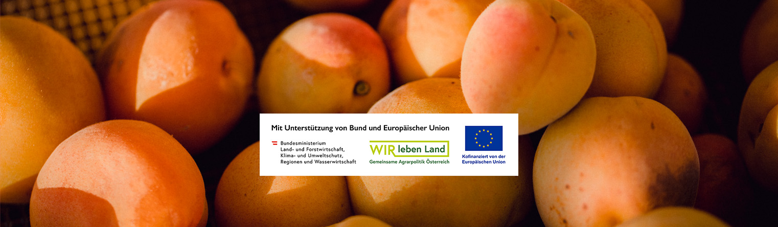 Marillen - Nur die Besten kommen aus dem Garten