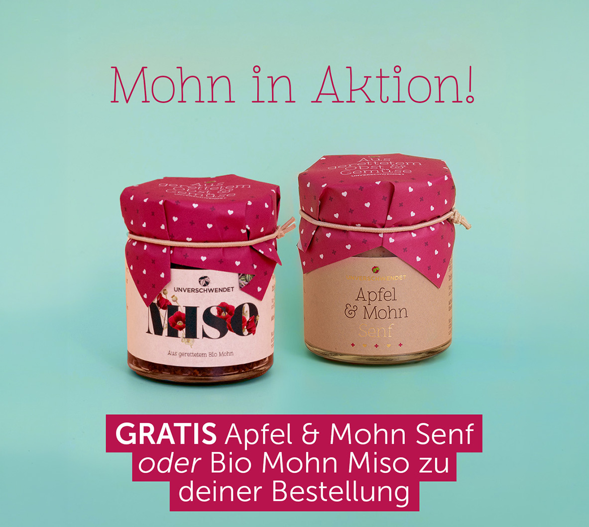 Header-AMSE-MISO-Aktion-mobil