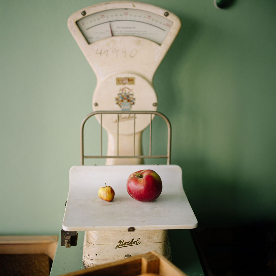 Gegenüberstellung perfekter unperfekter Apfel (auf alter Waage) Gegenüberstellung perfekter und unperfekter Apfel