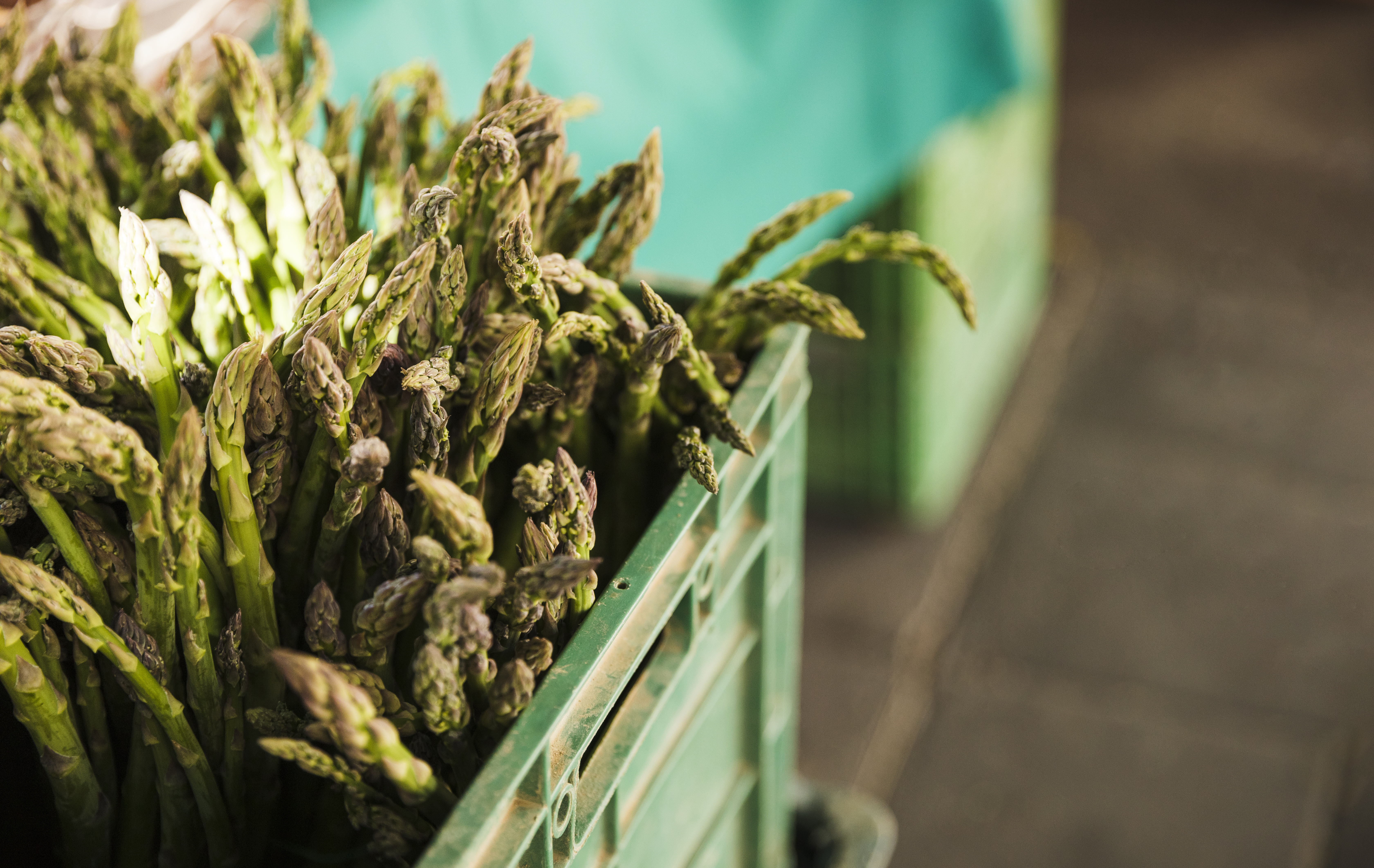 green-organic-asparagus-plastic-crate-sale-market-stall green-organic-asparagus-plastic-crate-sale-market-stall