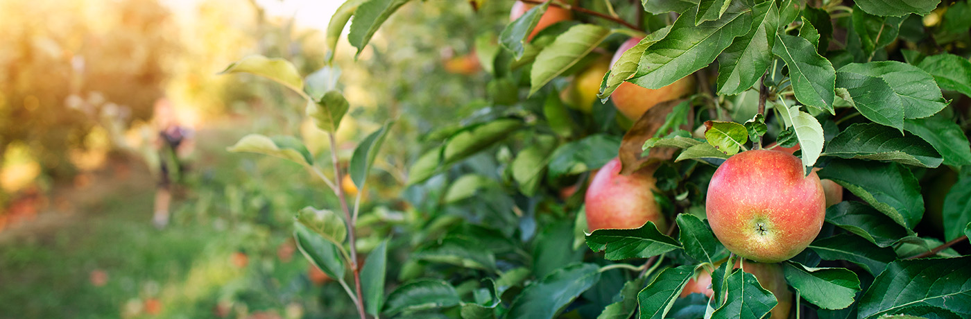 Header-Bewusstseinsbildung-Landingpage-1 Header-Bewusstseinsbildung-Landingpage-1