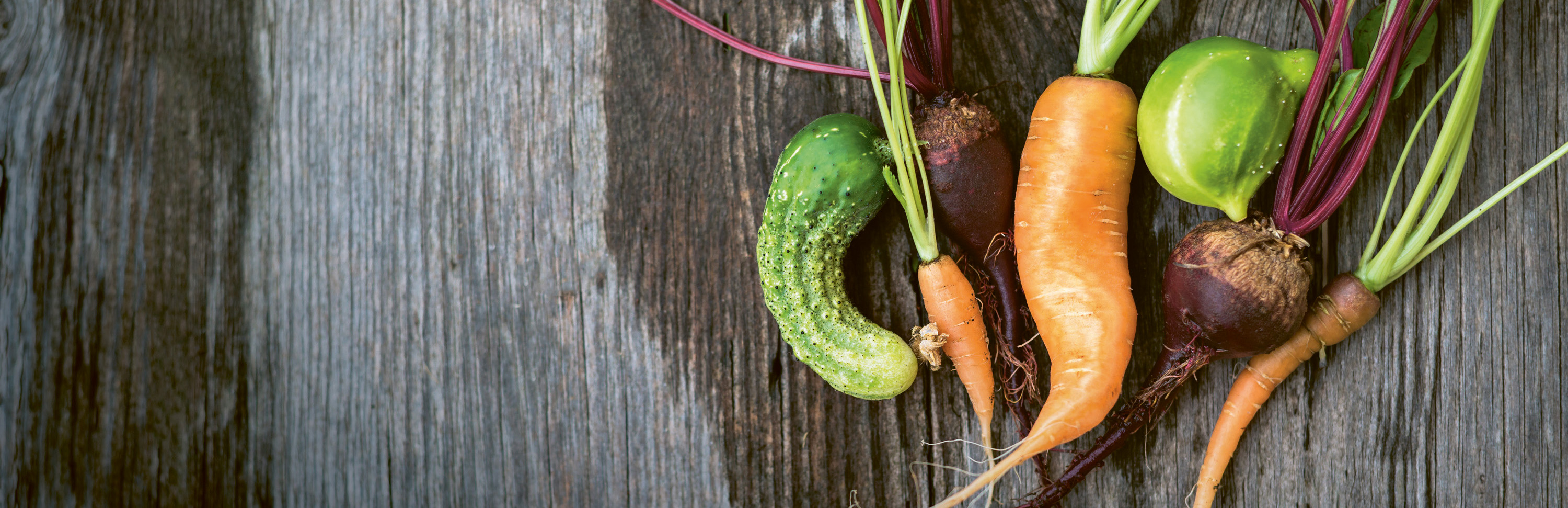 Header-Website-Krummes