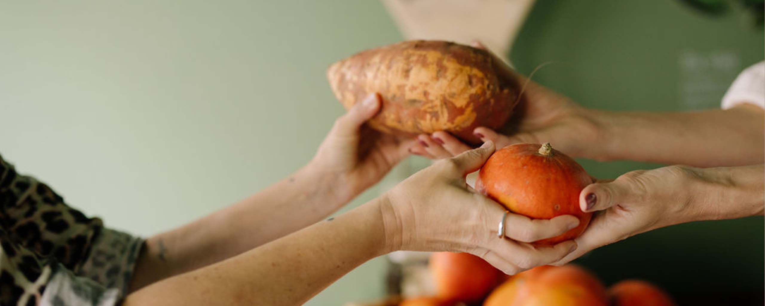 Hände übergeben Kürbis und Süßkartoffel (Nahaufnahme) Hände übergeben Kürbis und Süßkartoffel